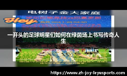乐鱼体育中国官方